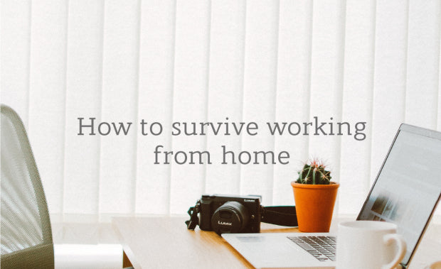 Life Indoors: How to survive working from home