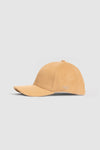 Camel (499)
