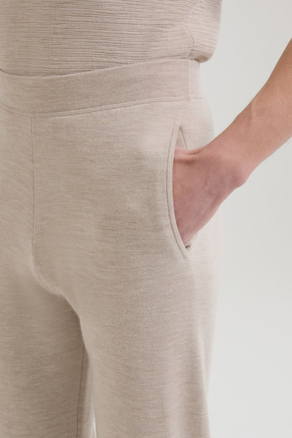 Amir Noble Wool Jogger