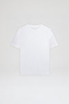 Kid's Ted Cotton Tee