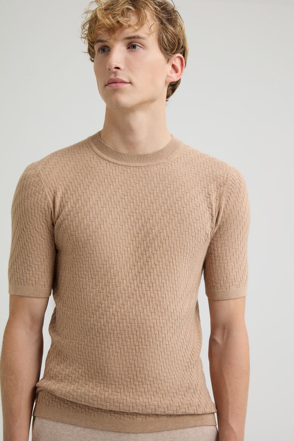 Soft Camel (490)